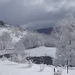 Jonquille * La Bresse