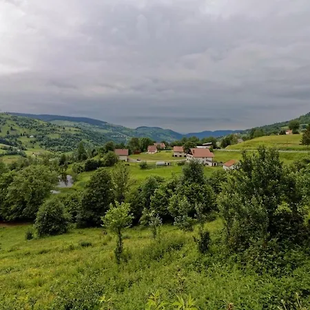 Jonquille La Bresse