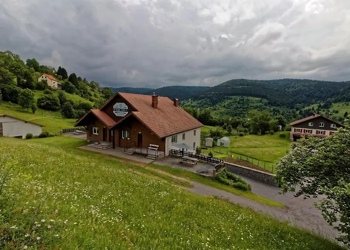 Jonquille * La Bresse