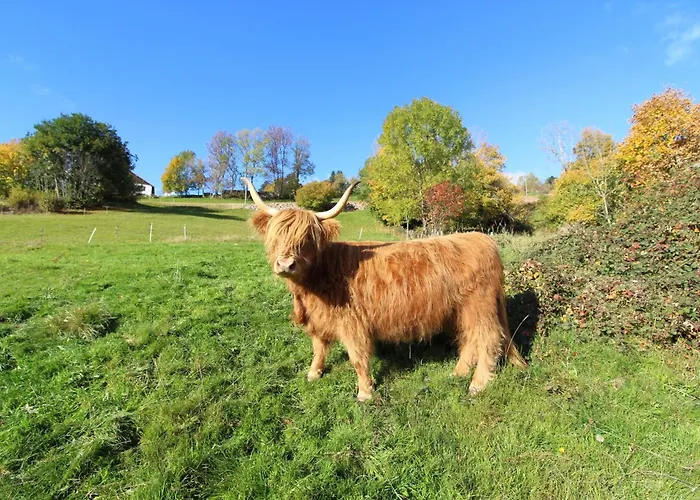 Apartmán Jonquille La Bresse